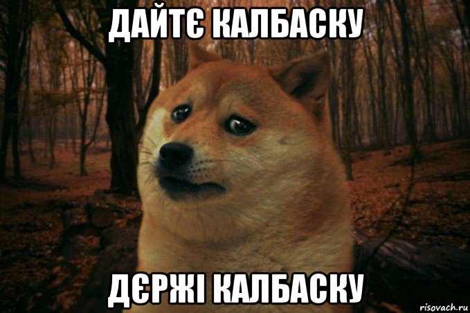 дайтє калбаску дєржі калбаску, Мем SAD DOGE