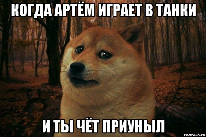 когда артём играет в танки и ты чёт приуныл, Мем SAD DOGE