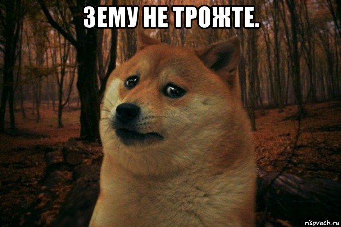 зему не трожте. , Мем SAD DOGE