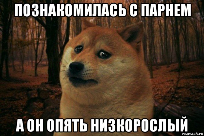 познакомилась с парнем а он опять низкорослый, Мем SAD DOGE