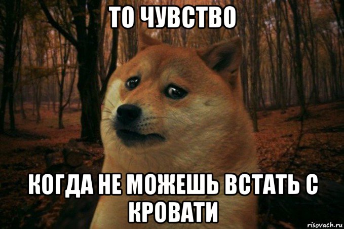 то чувство когда не можешь встать с кровати, Мем SAD DOGE