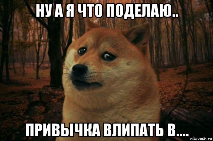 ну а я что поделаю.. привычка влипать в...., Мем SAD DOGE