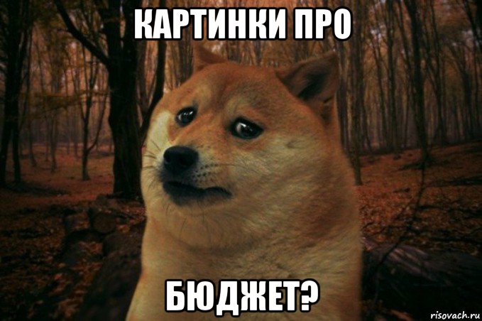 картинки про бюджет?, Мем SAD DOGE