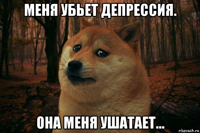 меня убьет депрессия. она меня ушатает..., Мем SAD DOGE