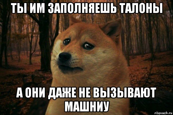 ты им заполняешь талоны а они даже не вызывают машниу, Мем SAD DOGE