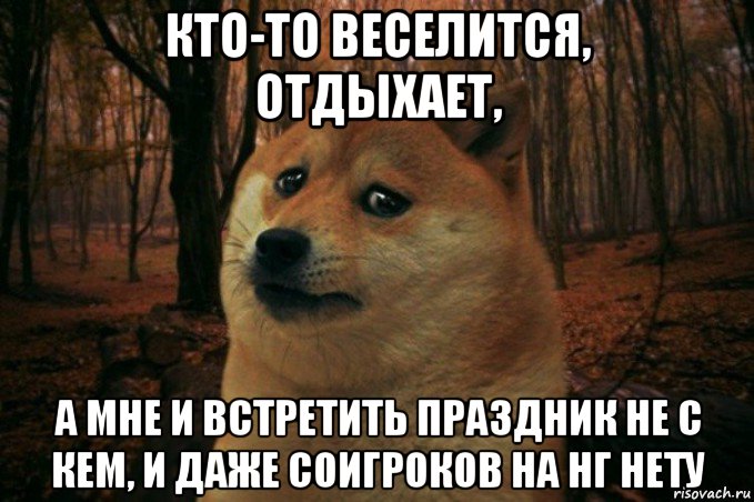 кто-то веселится, отдыхает, а мне и встретить праздник не с кем, и даже соигроков на нг нету, Мем SAD DOGE