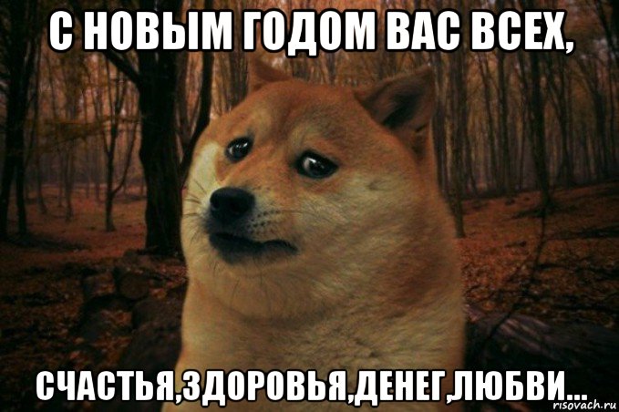 с новым годом вас всех, счастья,здоровья,денег,любви..., Мем SAD DOGE