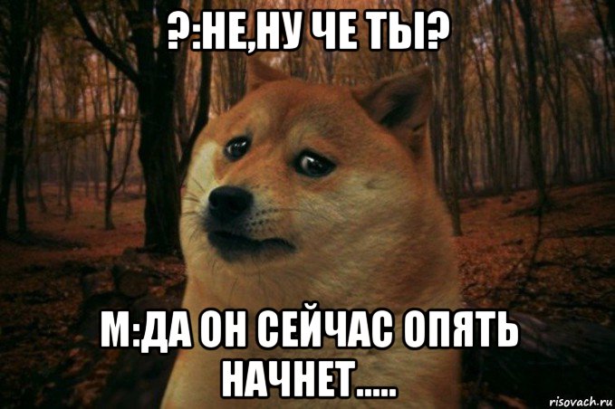 ?:не,ну че ты? м:да он сейчас опять начнет....., Мем SAD DOGE