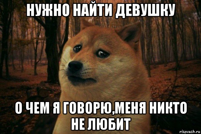 нужно найти девушку о чем я говорю,меня никто не любит, Мем SAD DOGE