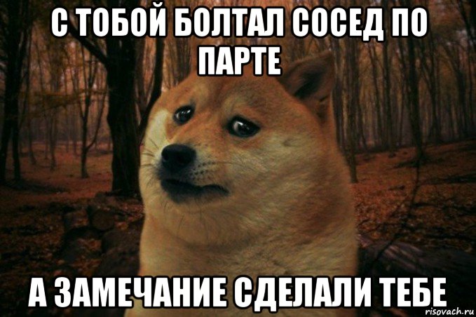 с тобой болтал сосед по парте а замечание сделали тебе, Мем SAD DOGE