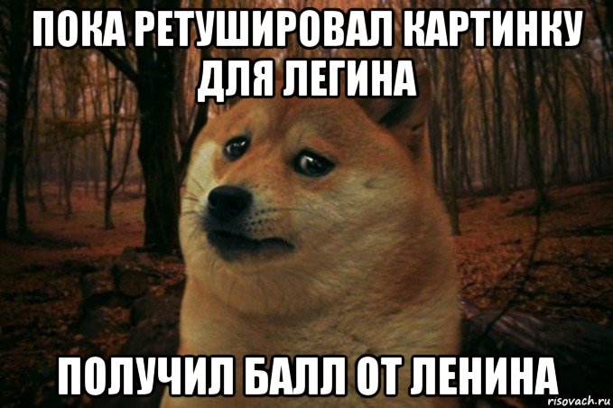 пока ретушировал картинку для легина получил балл от ленина, Мем SAD DOGE