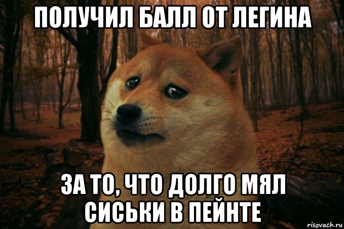 получил балл от легина за то, что долго мял сиськи в пейнте, Мем SAD DOGE