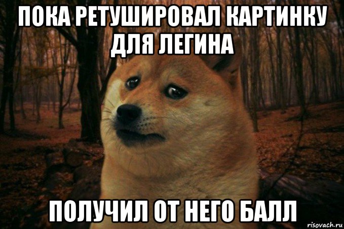 пока ретушировал картинку для легина получил от него балл, Мем SAD DOGE