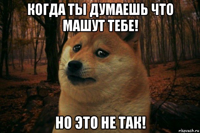 когда ты думаешь что машут тебе! но это не так!, Мем SAD DOGE