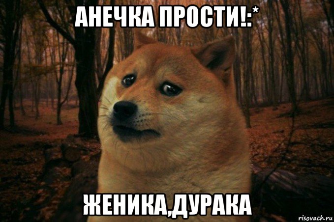 анечка прости!:* женика,дурака, Мем SAD DOGE