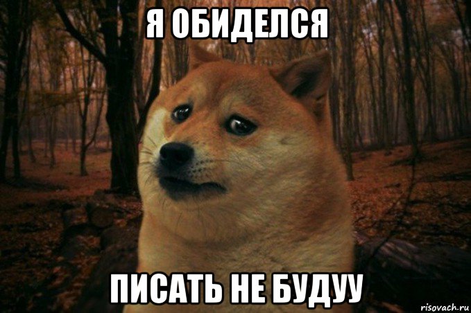 я обиделся писать не будуу, Мем SAD DOGE