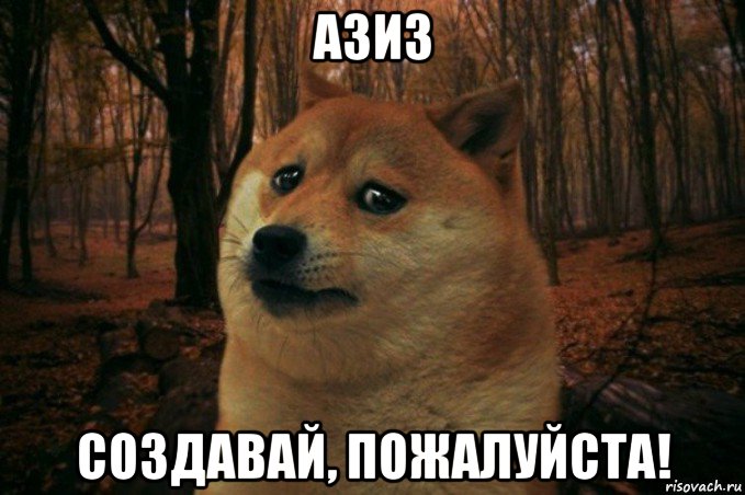 азиз создавай, пожалуйста!, Мем SAD DOGE