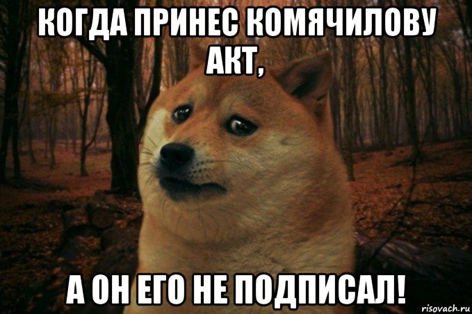 когда принес комячилову акт, а он его не подписал!, Мем SAD DOGE