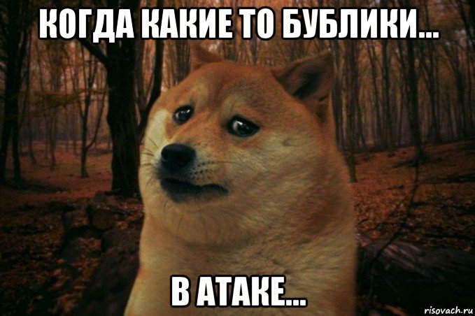 когда какие то бублики... в атаке..., Мем SAD DOGE