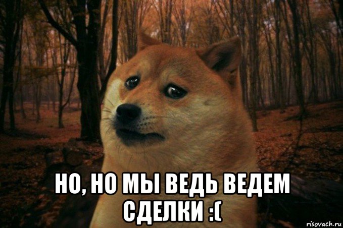  но, но мы ведь ведем сделки :(, Мем SAD DOGE