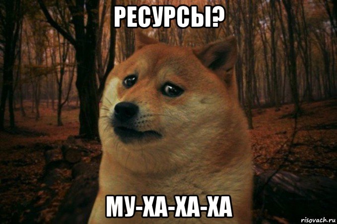 ресурсы? му-ха-ха-ха, Мем SAD DOGE