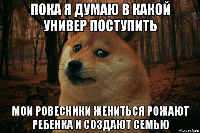 пока я думаю в какой универ поступить мои ровесники жениться рожают ребенка и создают семью, Мем SAD DOGE