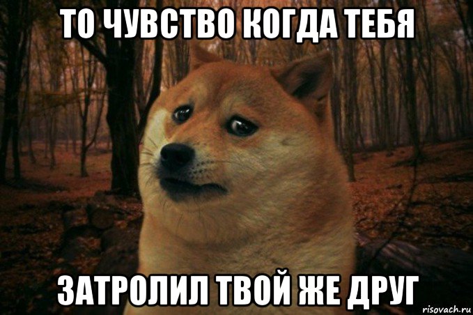 то чувство когда тебя затролил твой же друг, Мем SAD DOGE