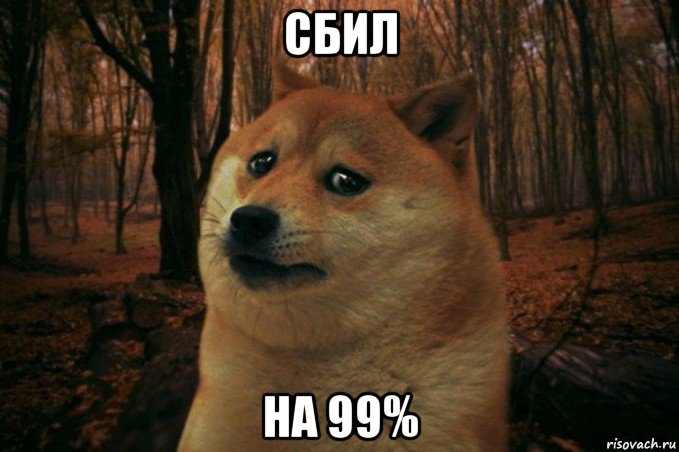 сбил на 99%, Мем SAD DOGE