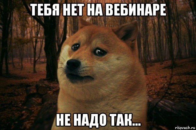 тебя нет на вебинаре не надо так..., Мем SAD DOGE