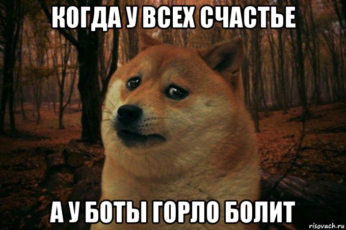 когда у всех счастье а у боты горло болит, Мем SAD DOGE