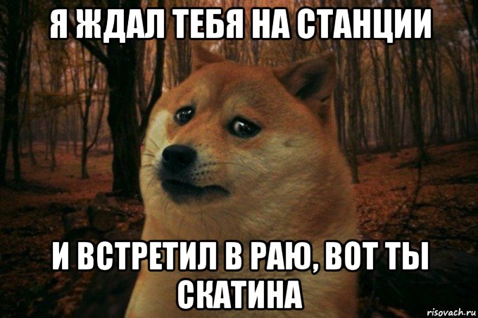 я ждал тебя на станции и встретил в раю, вот ты скатина, Мем SAD DOGE