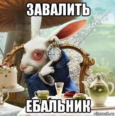 завалить ебальник