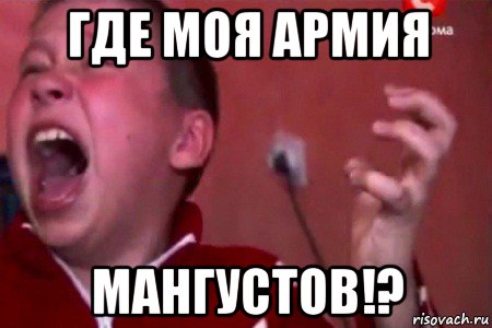 где моя армия мангустов!?