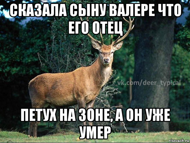 сказала сыну валере что его отец петух на зоне, а он уже умер, Мем Паблик Типичный олень