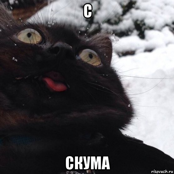 с скума