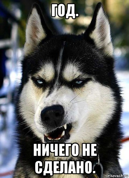 год. ничего не сделано.