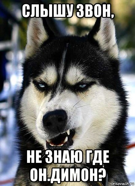 слышу звон, не знаю где он.димон?