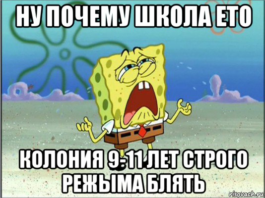 ну почему школа ето колония 9-11 лет строго режыма блять, Мем Спанч Боб плачет