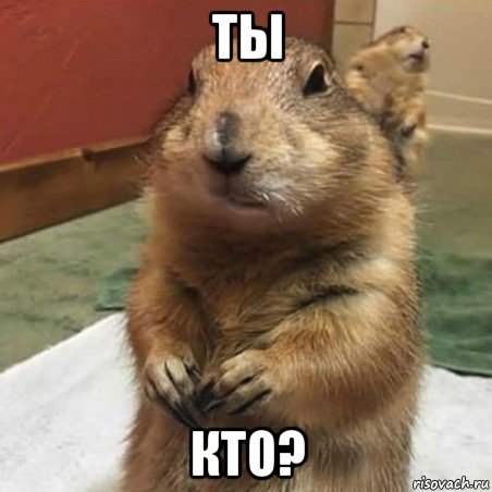 ты кто?