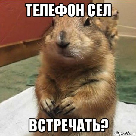 телефон сел встречать?