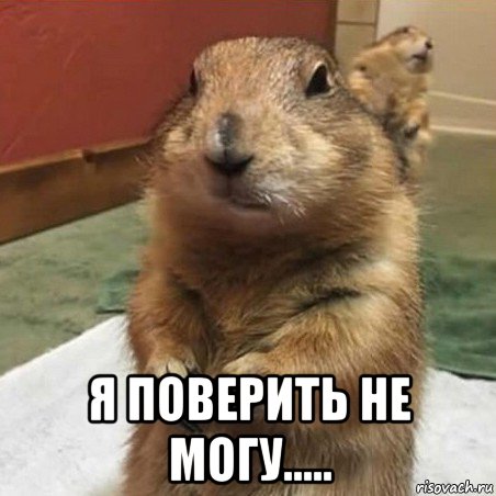  я поверить не могу.....