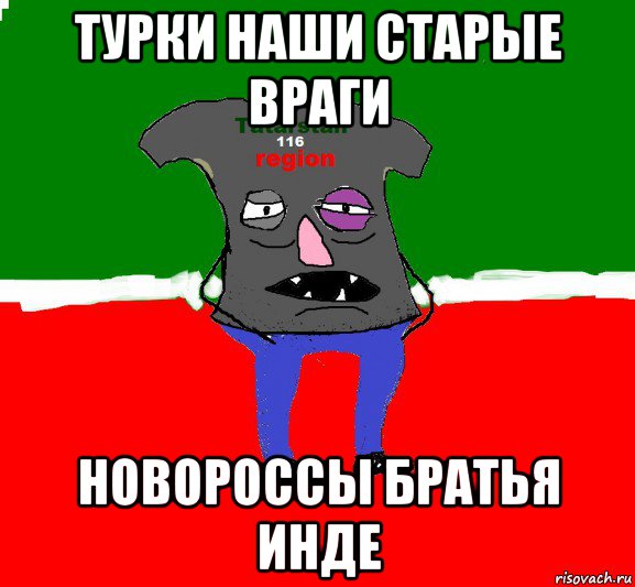 турки наши старые враги новороссы братья инде