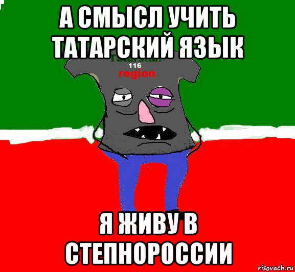 а смысл учить татарский язык я живу в степнороссии
