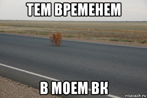 тем временем в моем вк, Мем тем временем