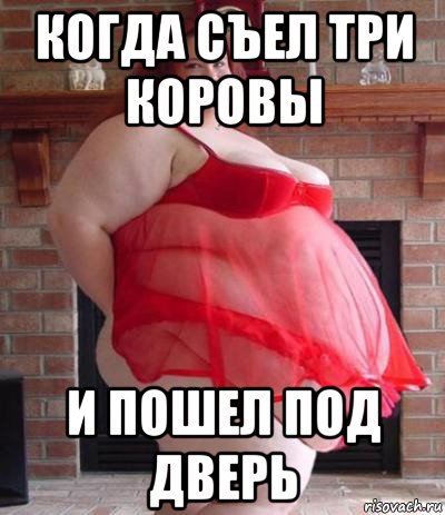 когда съел три коровы и пошел под дверь, Мем Теперь я тебе буду дарить любовь