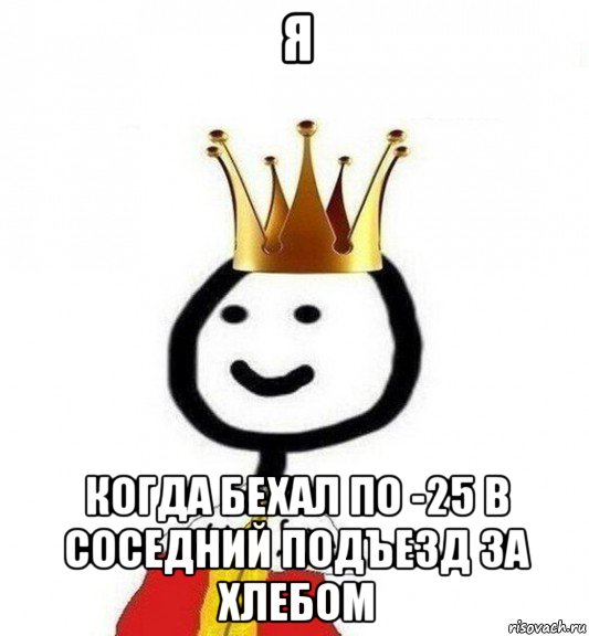 я когда бехал по -25 в соседний подъезд за хлебом, Мем Теребонька Царь