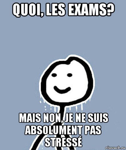 quoi, les exams? mais non, je ne suis absolument pas stressé, Мем  Теребонька замерз