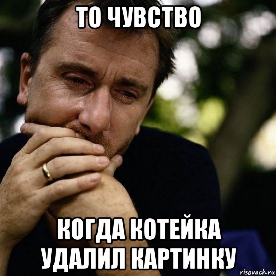 то чувство когда котейка удалил картинку, Мем Тим Рот