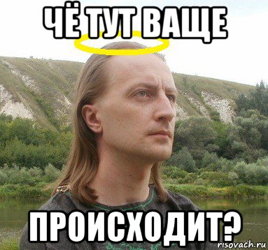 чё тут ваще происходит?