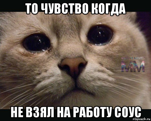 то чувство когда не взял на работу соус